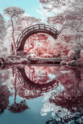 A calming, surreal infrared image of the Japanese Tea Garden's drum bridge reflected in still water.