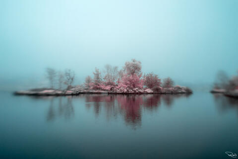 A group of small islands populated with pink trees emerges from hazy blue fog in a still lagoon.