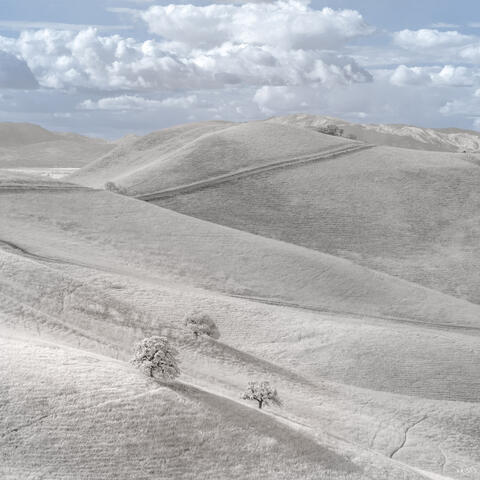 A white-on-white-colored scene of rolling hills spotted with trees under puffy, silvery-blue clouds