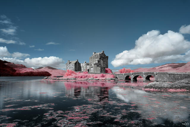 A 13th-century stone castle and the pink hills surrounding it are reflected in a sea loch on a bright morning. 