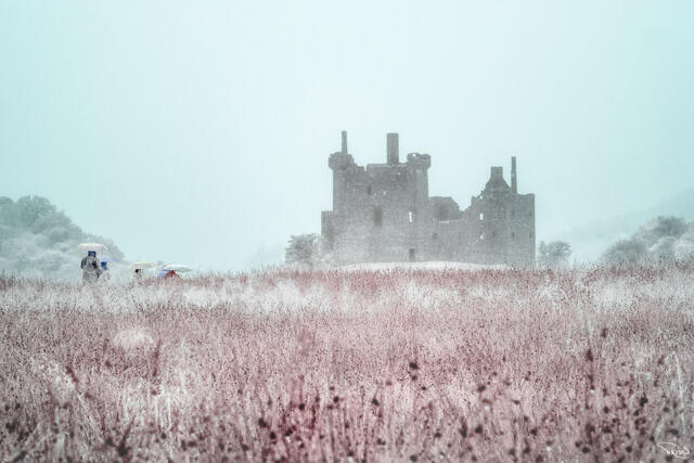 A castle in ruins awaits visitors with umbrellas trekking through high grass on a foggy, atmospheric day.