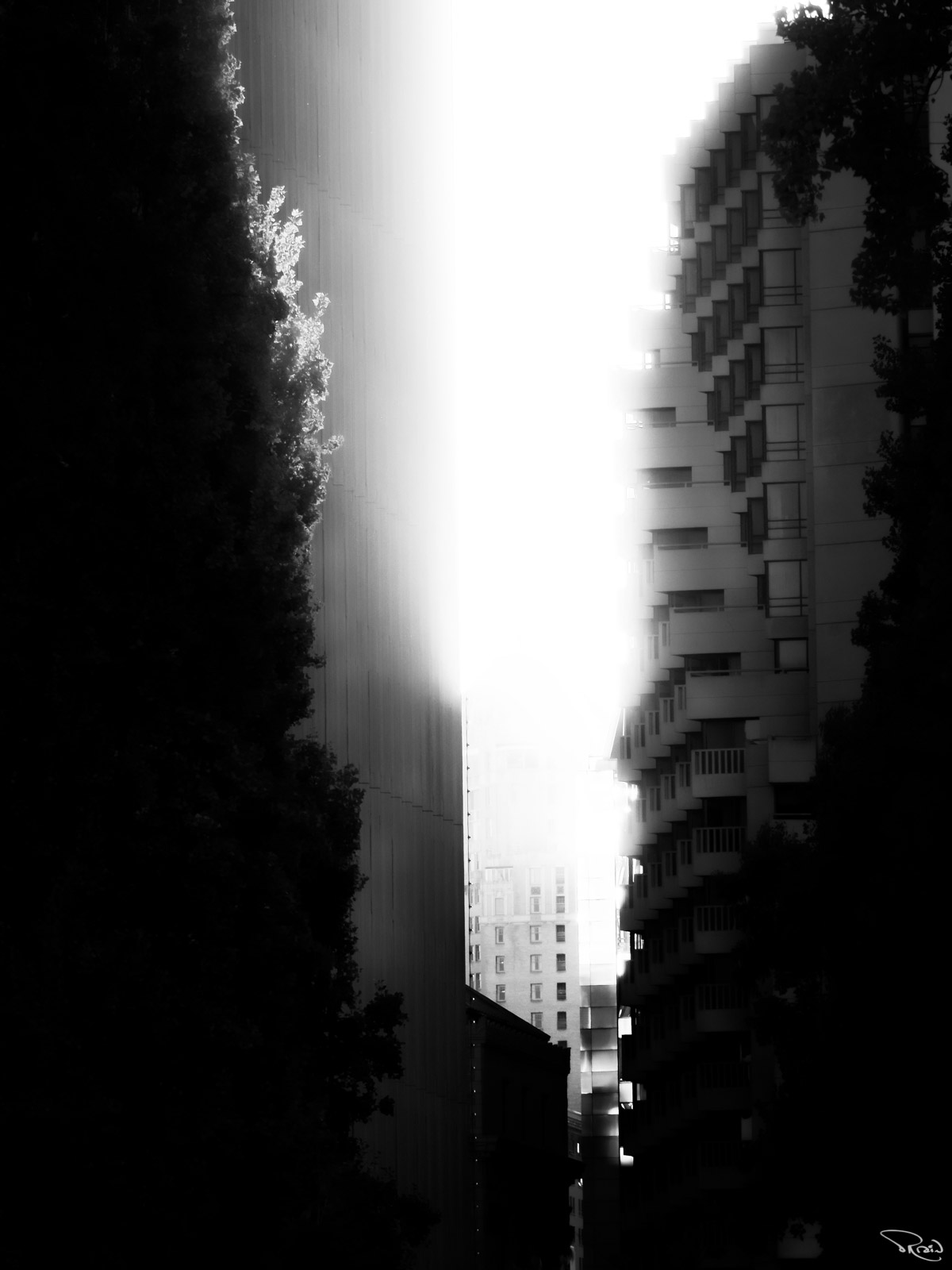 In black-and-white, a misty sunset glow emerges from between two silhouetted skyscrapers in San Francisco, California.