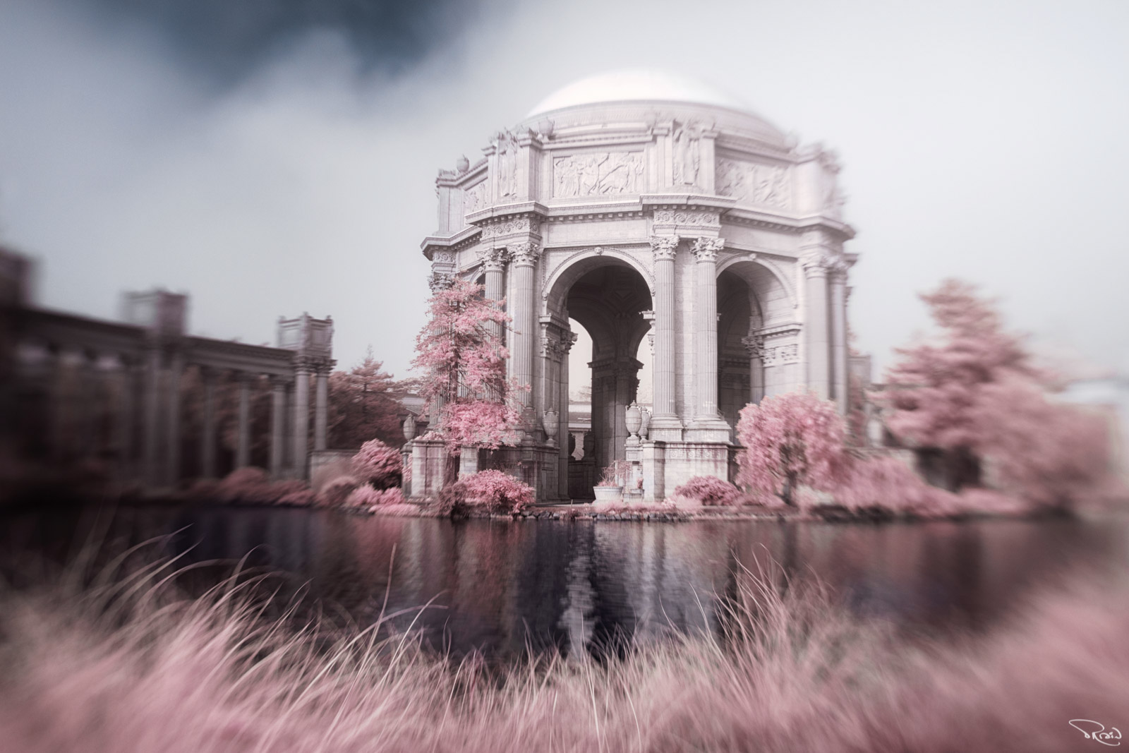 San Francisco's iconic Palace of Fine Arts is framed by a black lagoon and pink grasses in a hazy, dreamlike setting.